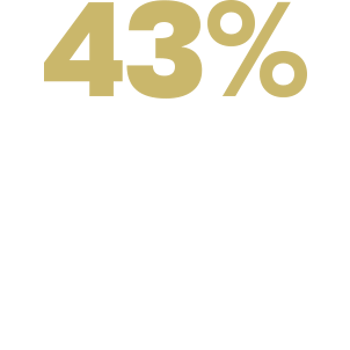 2024 NovaBrasilia CSR Wave3 Website StatisticsImage 4